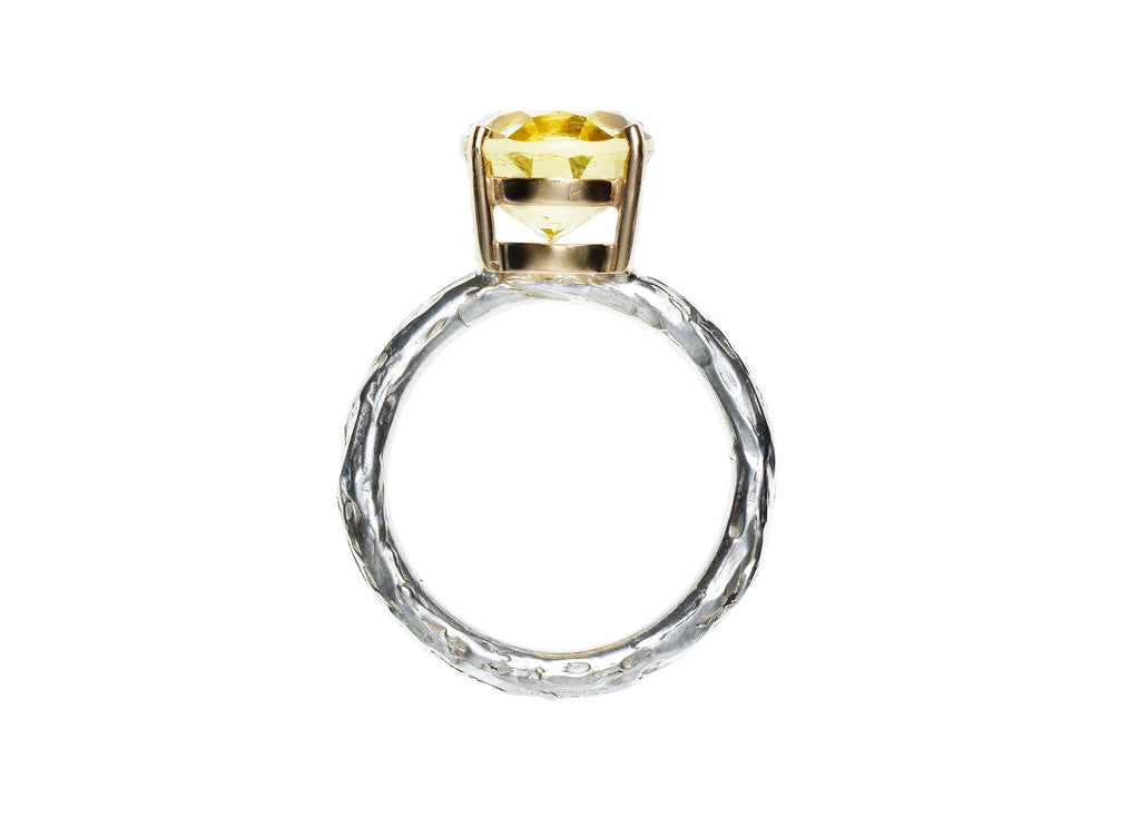 Blooming Branches - Kathryn Rebecca