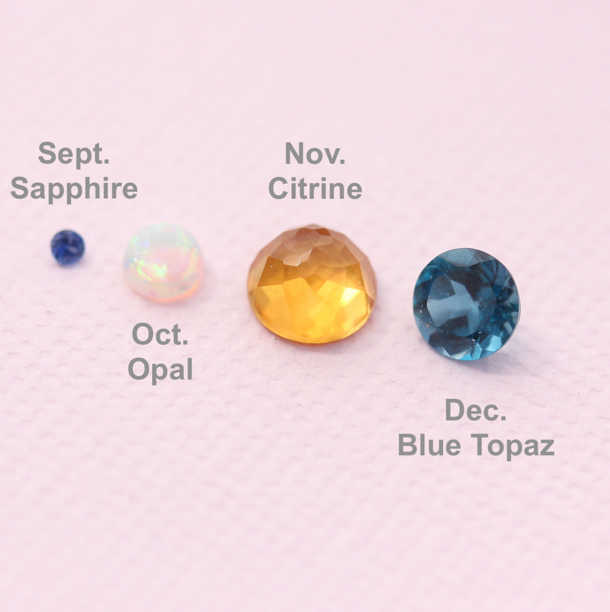 Blooming Branch Circle with Sapphire Earrings