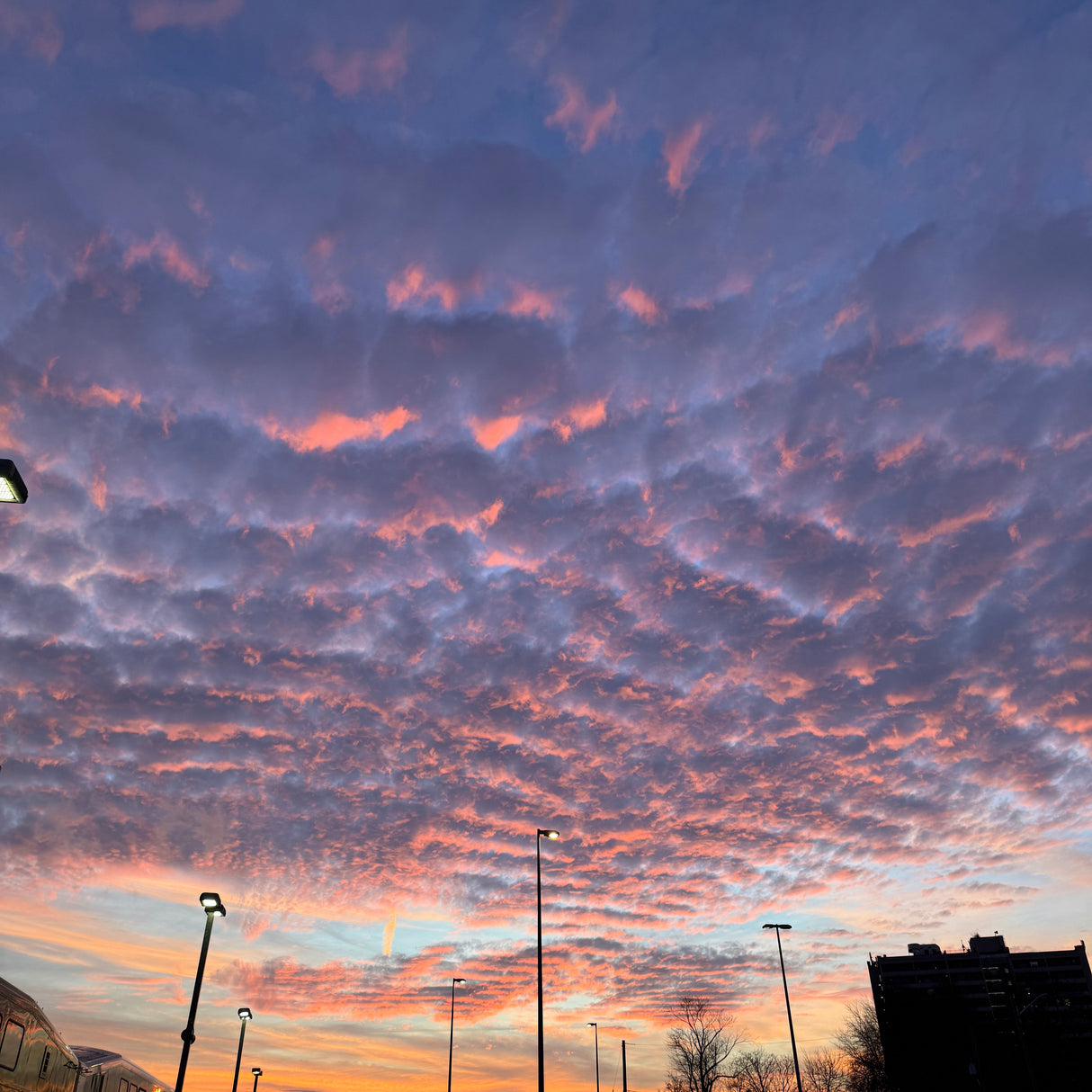 Winter Sunset Ring with Garnet and Sapphires