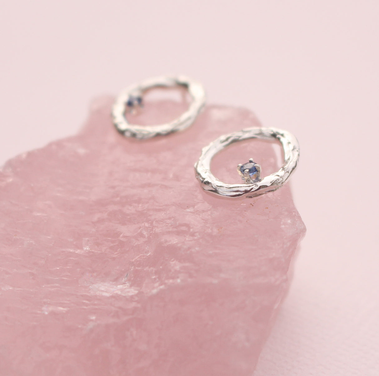 Blooming Branch Circle with Sapphire Earrings
