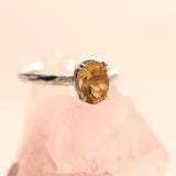 Blooming Branch Oval Gemstone Ring with Amethyst, Citrine, Topaz and Prasiolite