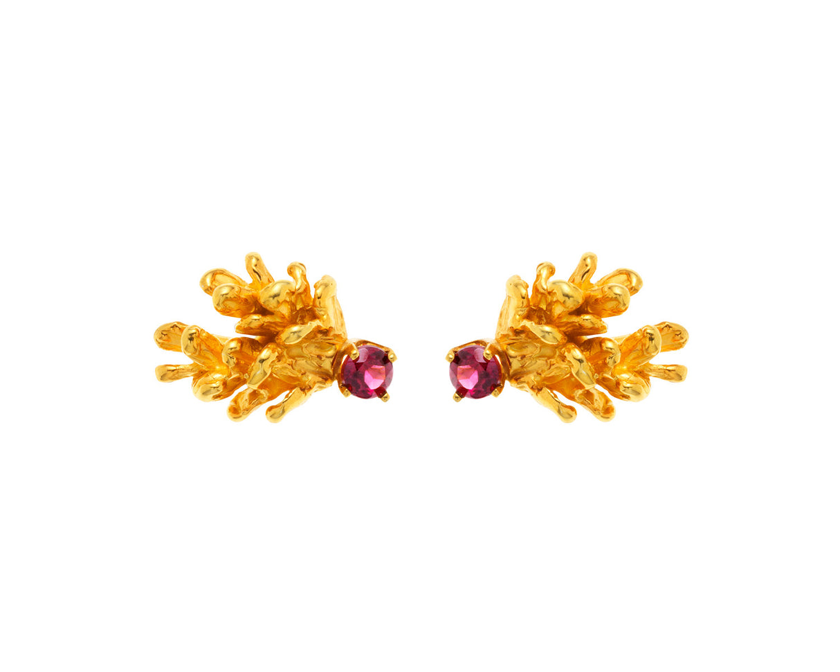 Destined pinecone - studs with jewel - Kathryn Rebecca