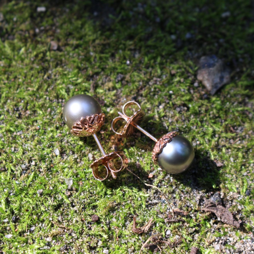 Tahitian pearl studs - Kathryn Rebecca