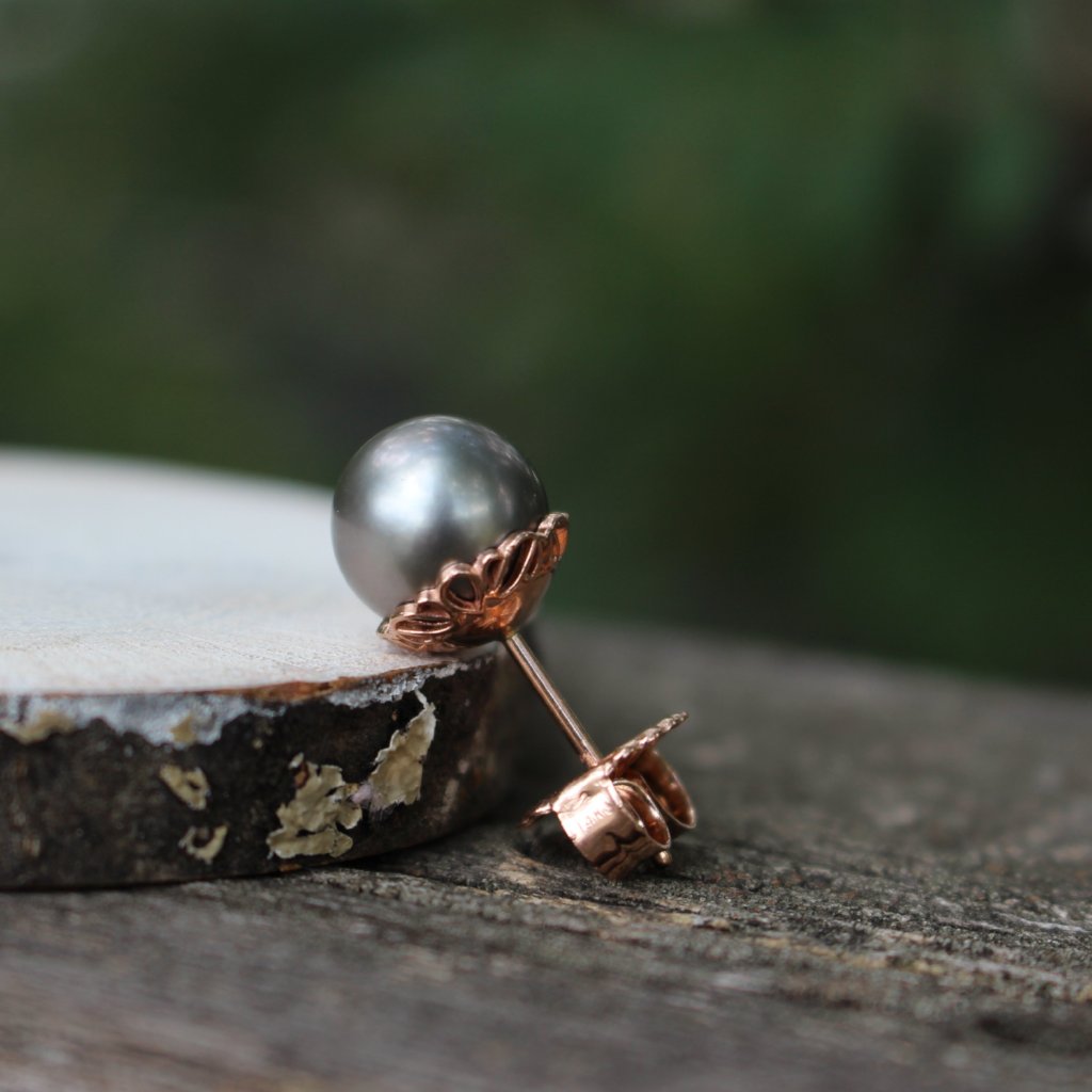 Tahitian pearl studs - Kathryn Rebecca