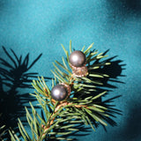 Tahitian pearl studs - Kathryn Rebecca